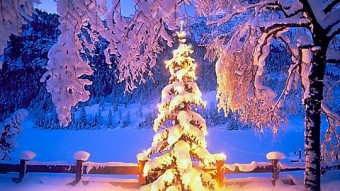 WEIHNACHTSMITTAGSMENÜ